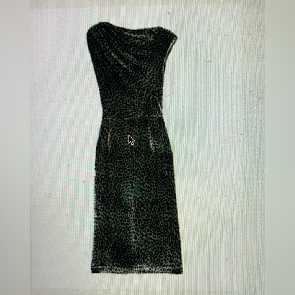 Blue green velvet jcrew leopard print